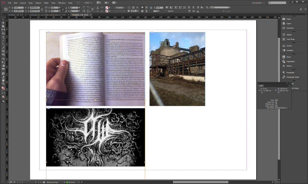 Ett gäng bilder monterade i InDesign.