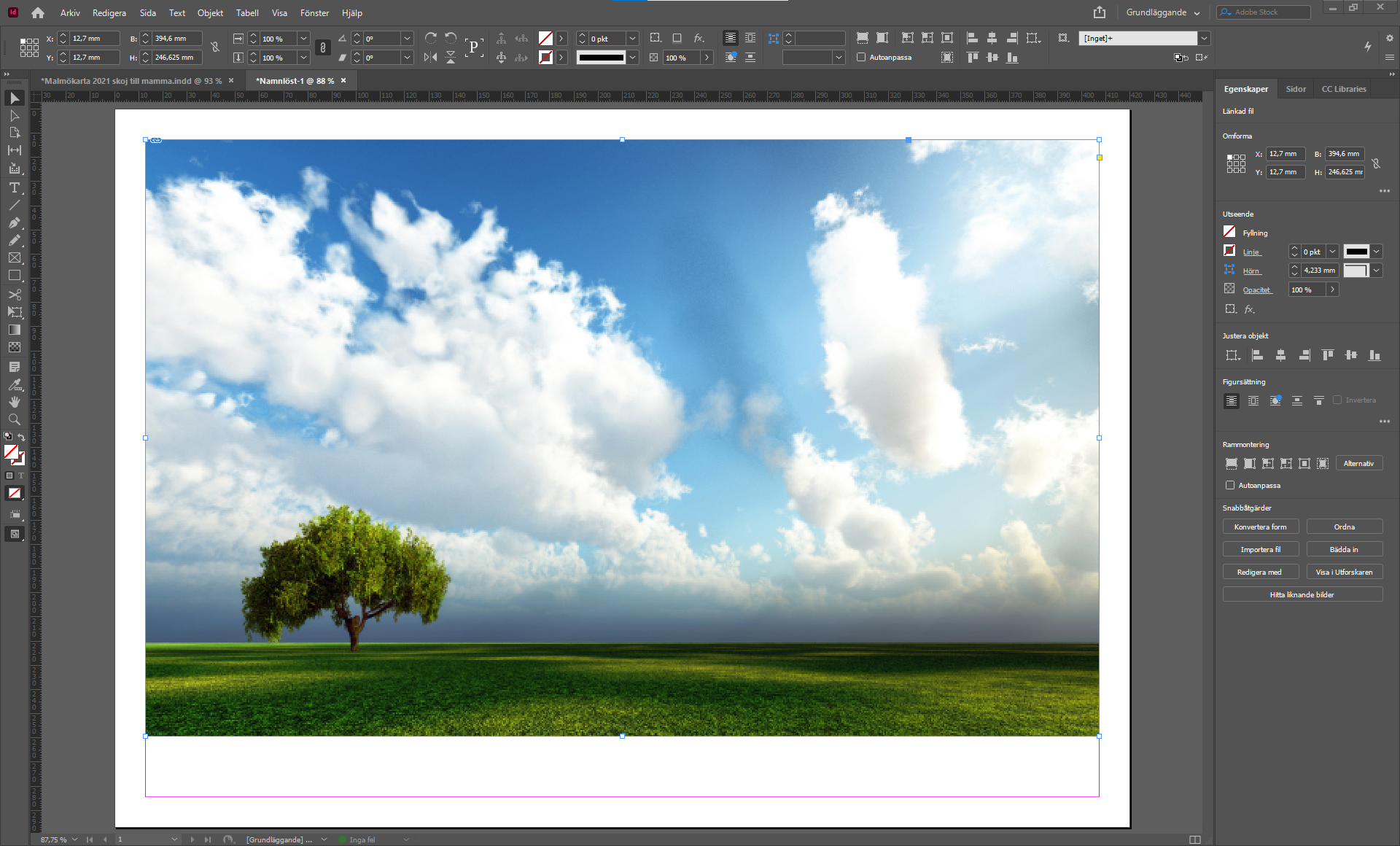 An image mounted into InDesign